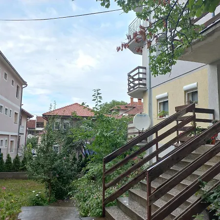 Milic Soko Banja