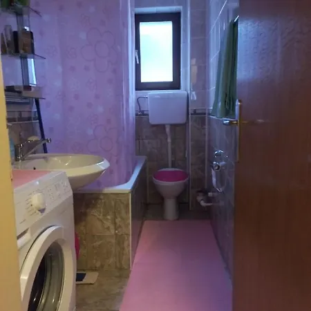 Milic Apartment Soko Banja