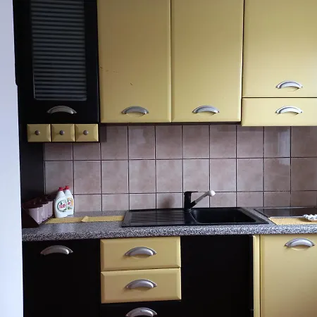 Milic Apartment Soko Banja